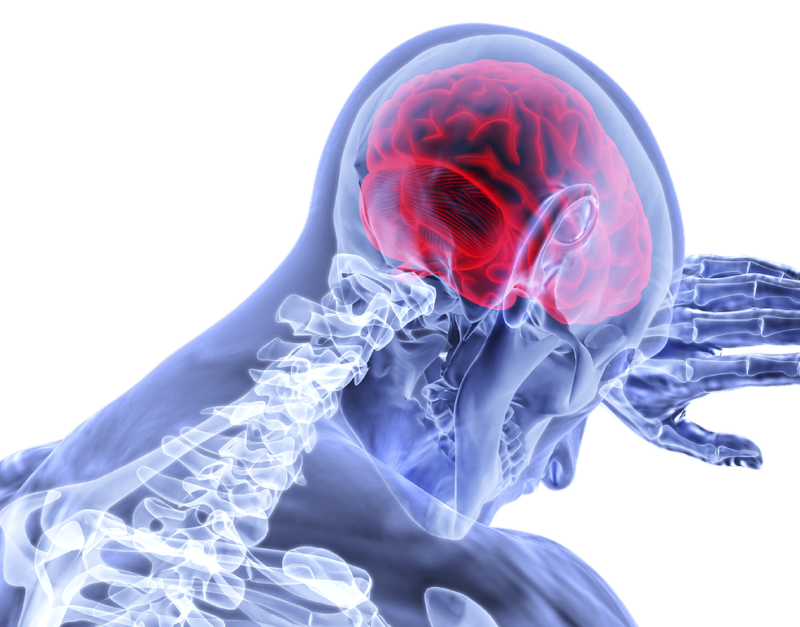 brain-3168269_1280 brain-3168269_1280